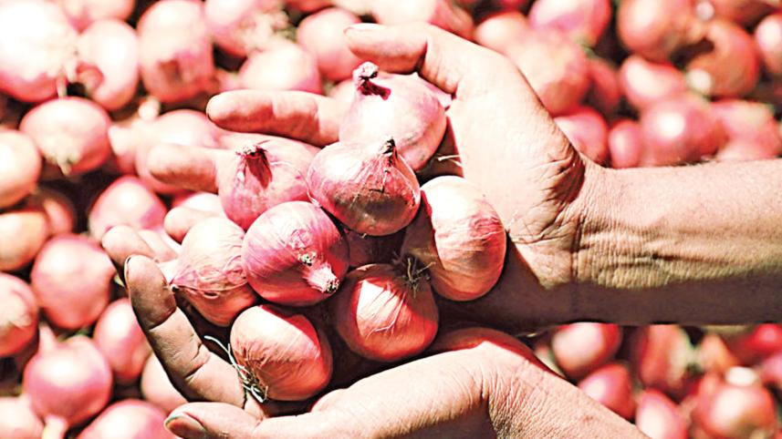 onion.jpg