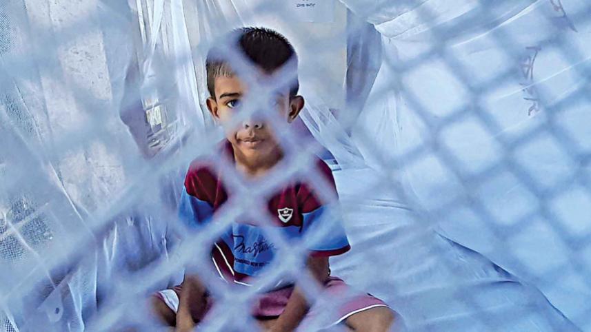 Dengue deaths.jpg
