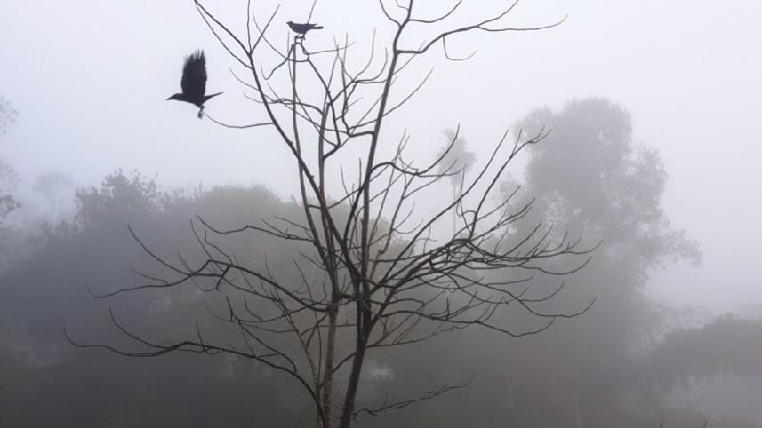 Cold wave.jpg