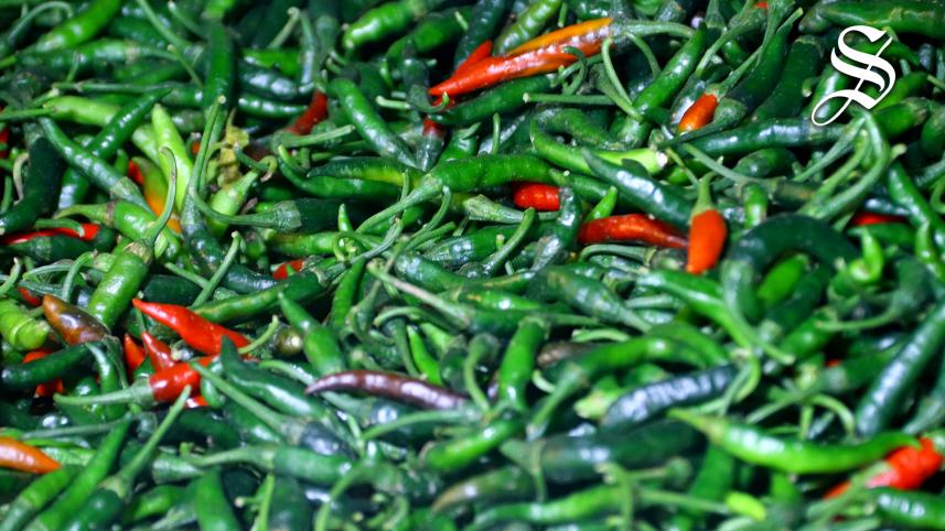 green chilli