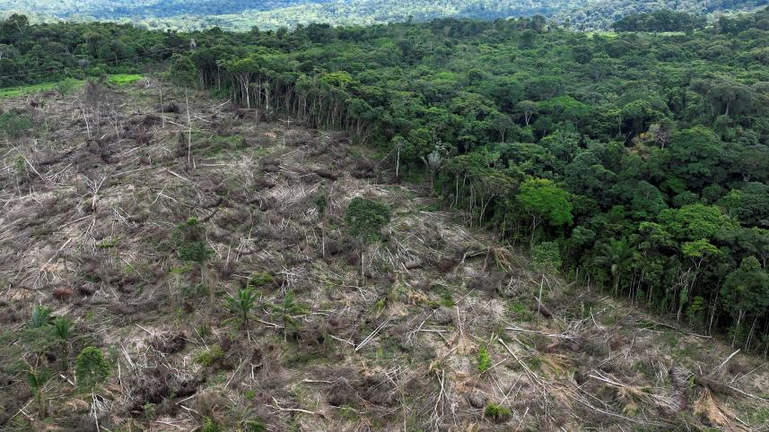 amazon-brazil.jpg