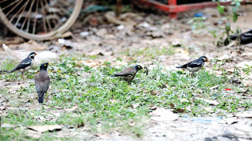 MY DHAKA_e4a9.jpg