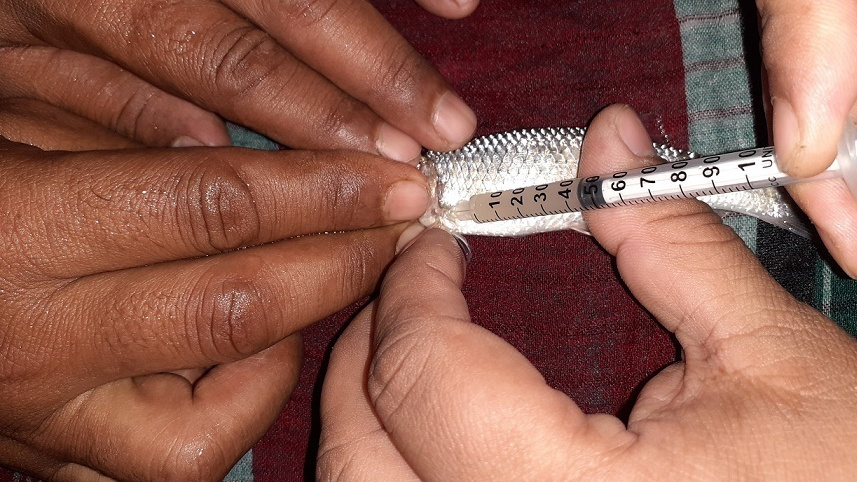 gotali fish