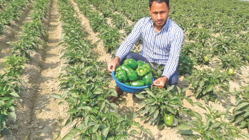 modern-farmer-belal-ahmed-imran.jpg