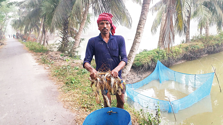 prawn-farmers-2.jpg