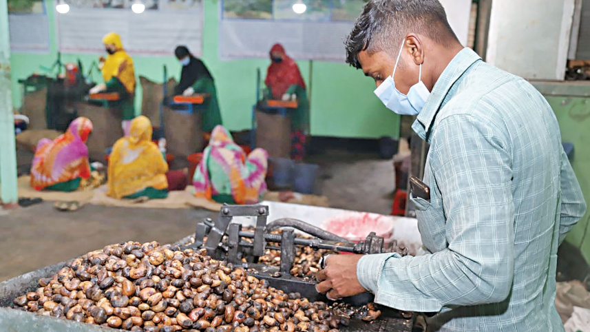 cashew-nuts-3.jpg