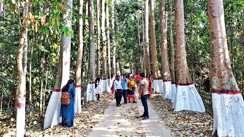 sreemangal-2.jpg