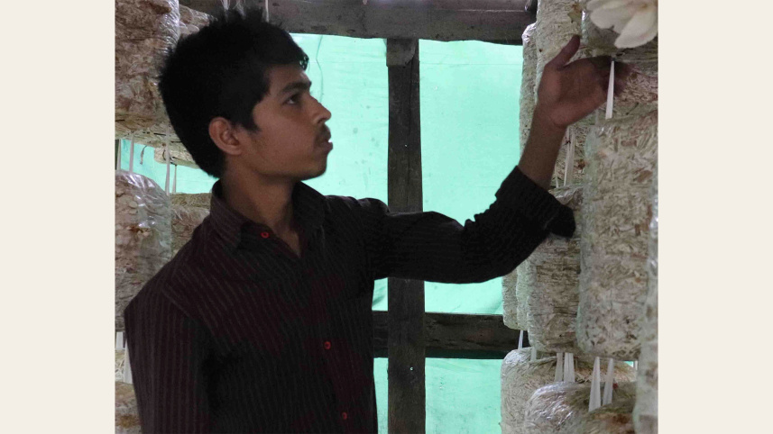 mushroom-magic-pirojpur-2.jpg