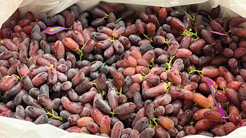 exotic-fruit3.jpg