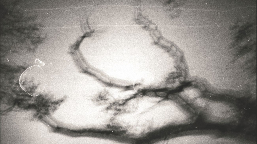 a_piece_of_whisper