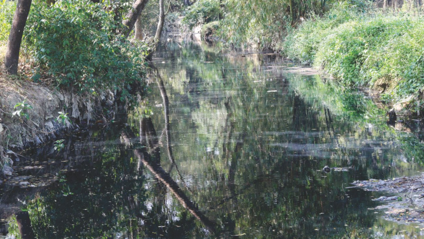 bamonsahi_canal.jpg
