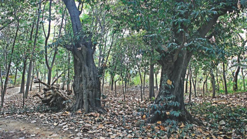 bangla_college3.jpg