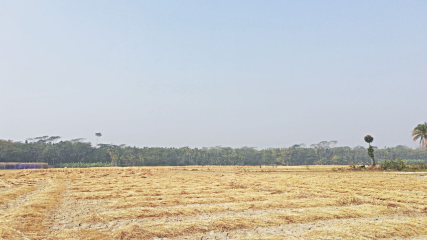 barishal_the_unspoilt3.jpg
