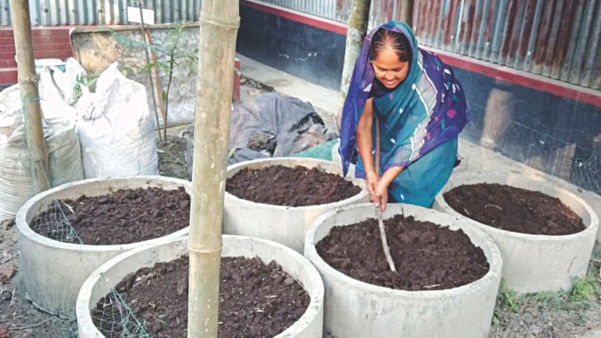 Organic farming