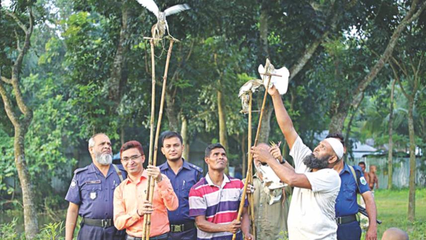 birds rescue 2.jpg