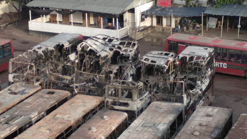 buses-web.jpg