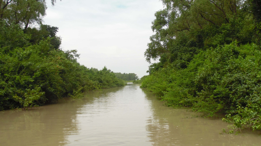 canal.jpg