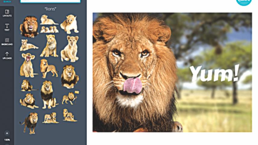 canva.jpg