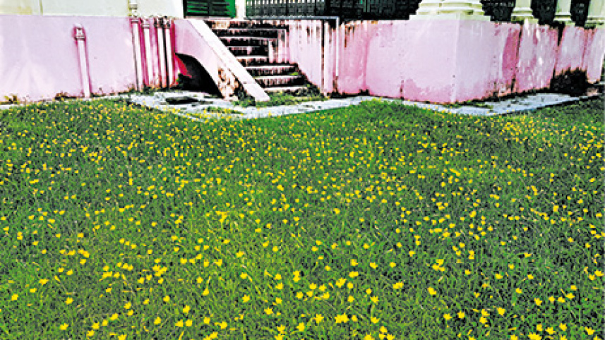 canvas7.jpg