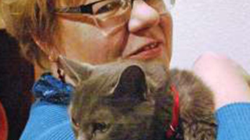 cat-1-web.jpg
