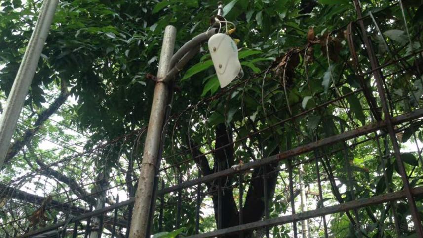 cctv-camerawb.jpg