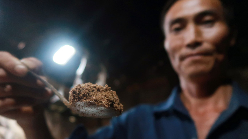 cockroach-powder.jpg