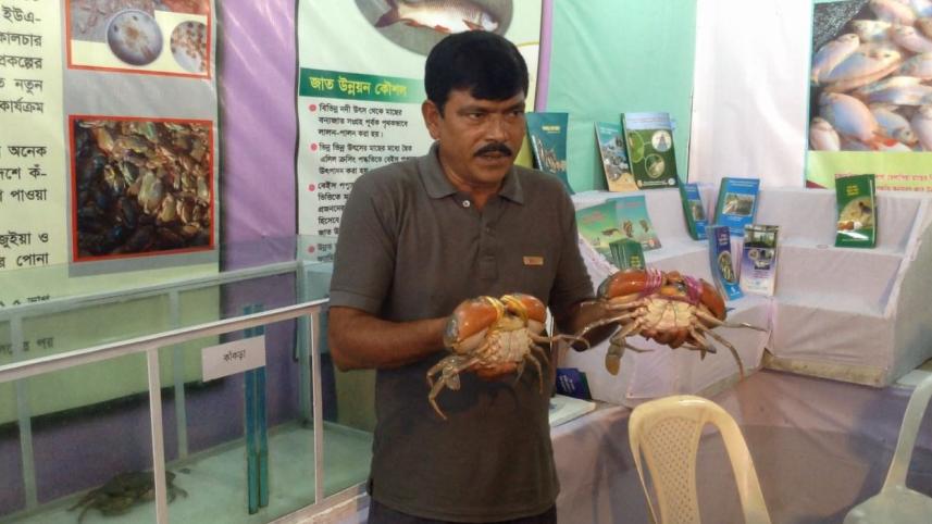 crab.JPG