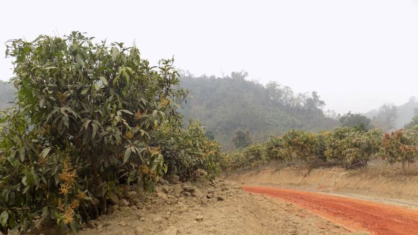 destroys_hills_bandarban_2.jpg