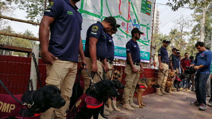 dmp-dog-squad.jpg