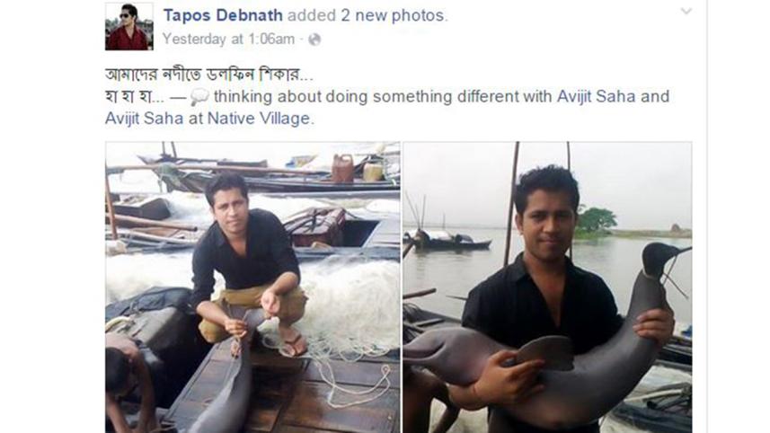 Dolphin!WB.jpg