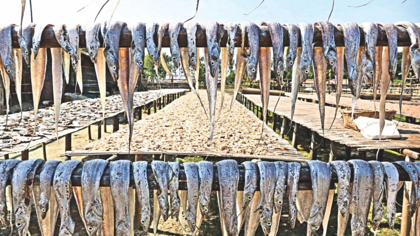 dried fish 2.jpg