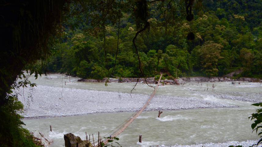dsc_2686.jpg