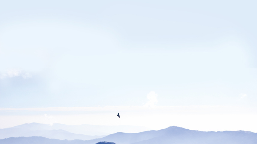 escape1.jpg