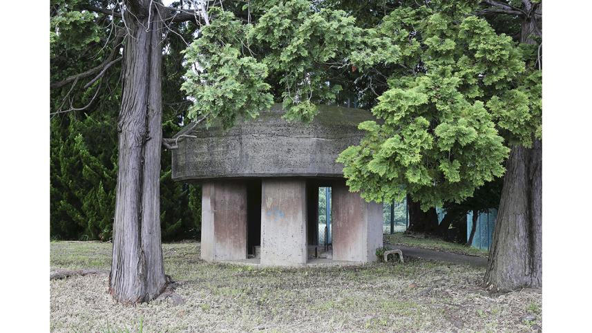 FEATURE_Where_kamika_46201460.jpg