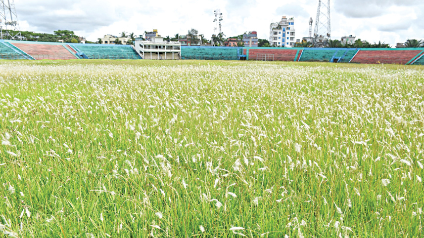field_2.jpg