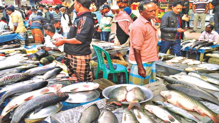 fish2.jpg