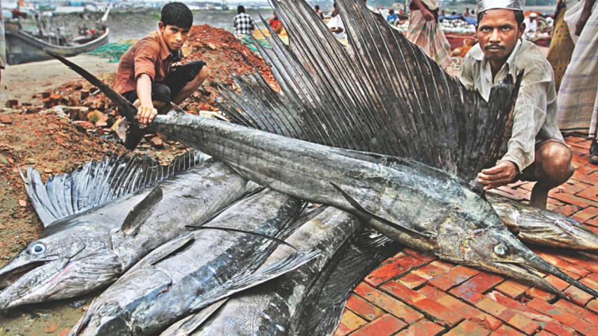 Fisheryghat 2.jpg