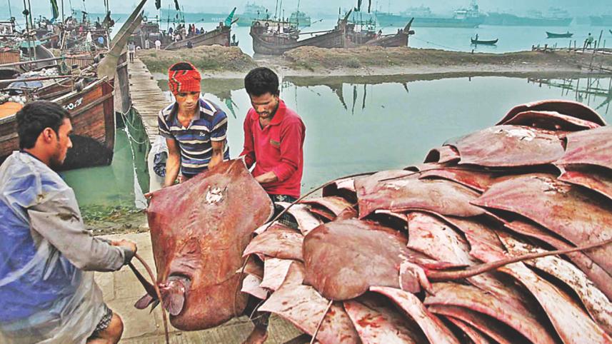 Fisheryghat 8.jpg
