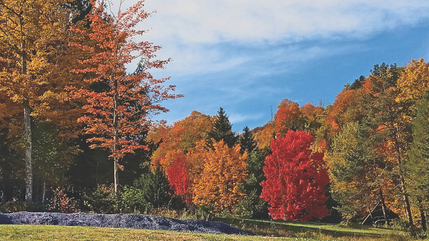 flaming_colours_4.jpg