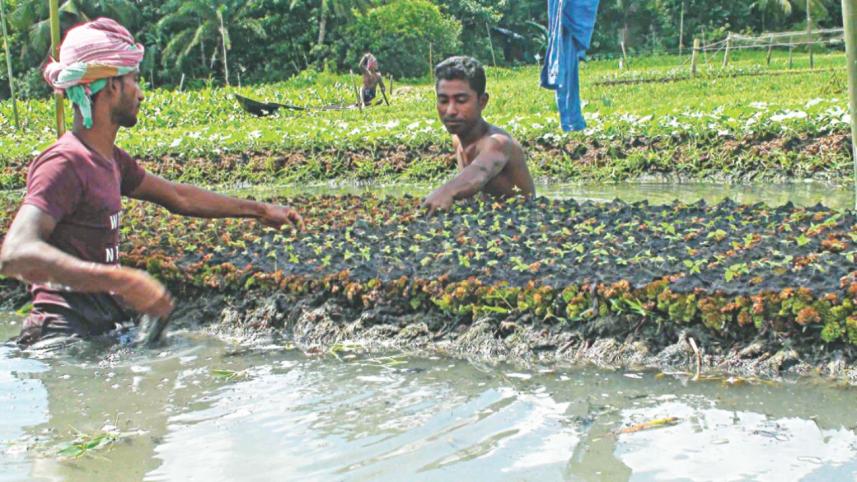 floating_farms_2.jpg