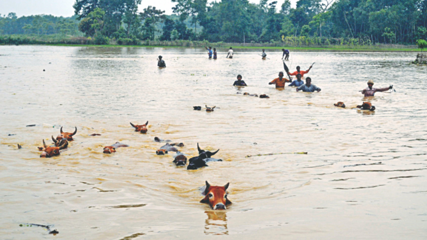 flood-hit_4.jpg