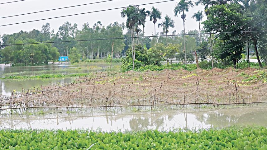 flood_15.jpg