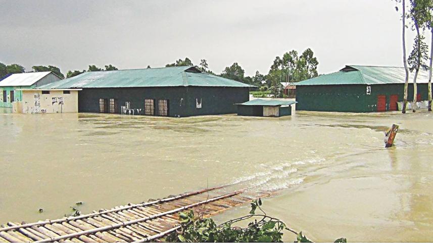 flood_8.jpg