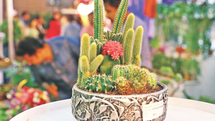 flowers_8.jpg