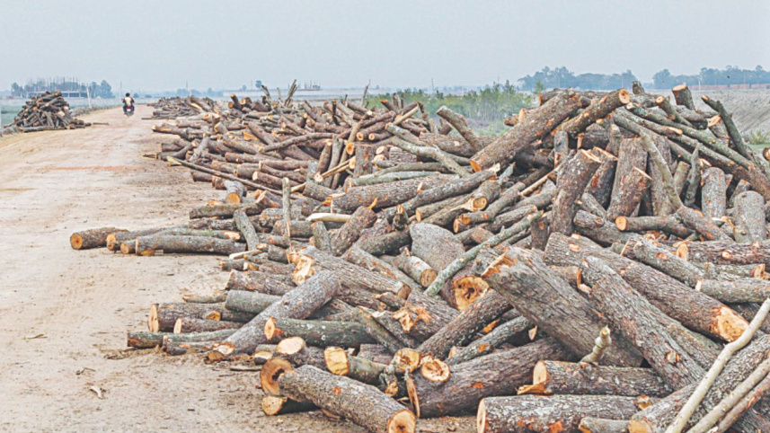 forest_land_2.jpg