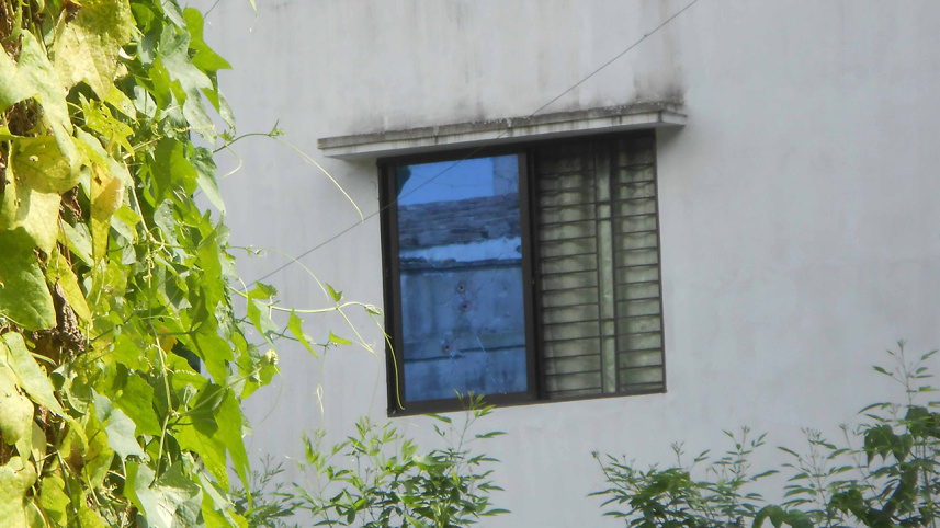 Gazipur,-Harinal-Patartek-1WB.jpg
