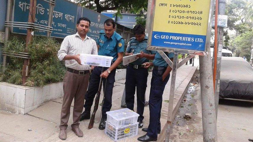 gecko-seized-Dhanmondi.jpg