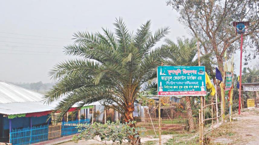 govt land 3.jpg