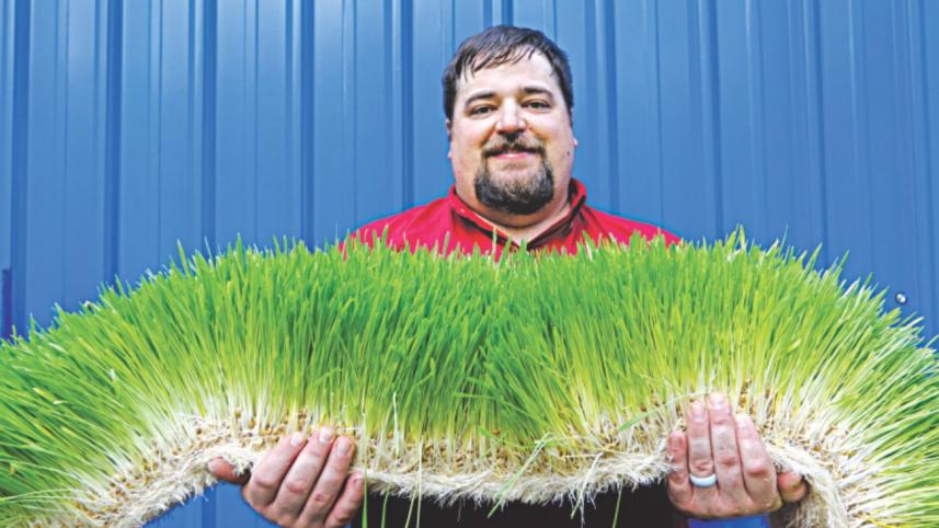 grass_1.jpg