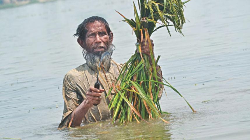 haor_2.jpg